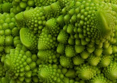 - romanesco1.jpg