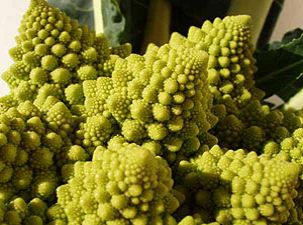 - romanesco2.jpg